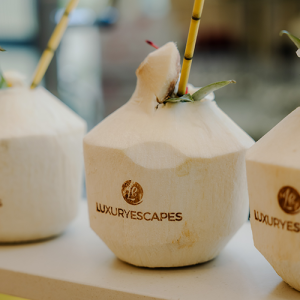 Custom coconuts sydney branded events