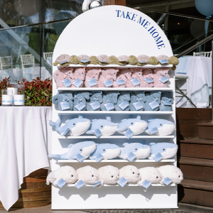 Shelf gift arch backdrop