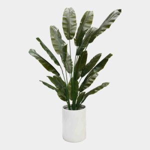 Traveller Palm Artificial Plant Hire Corporate Event