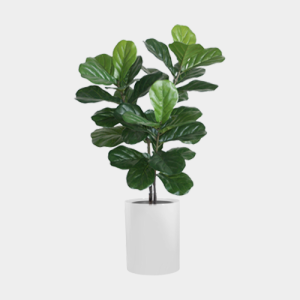 Artificial Plant Hire Corporate Event